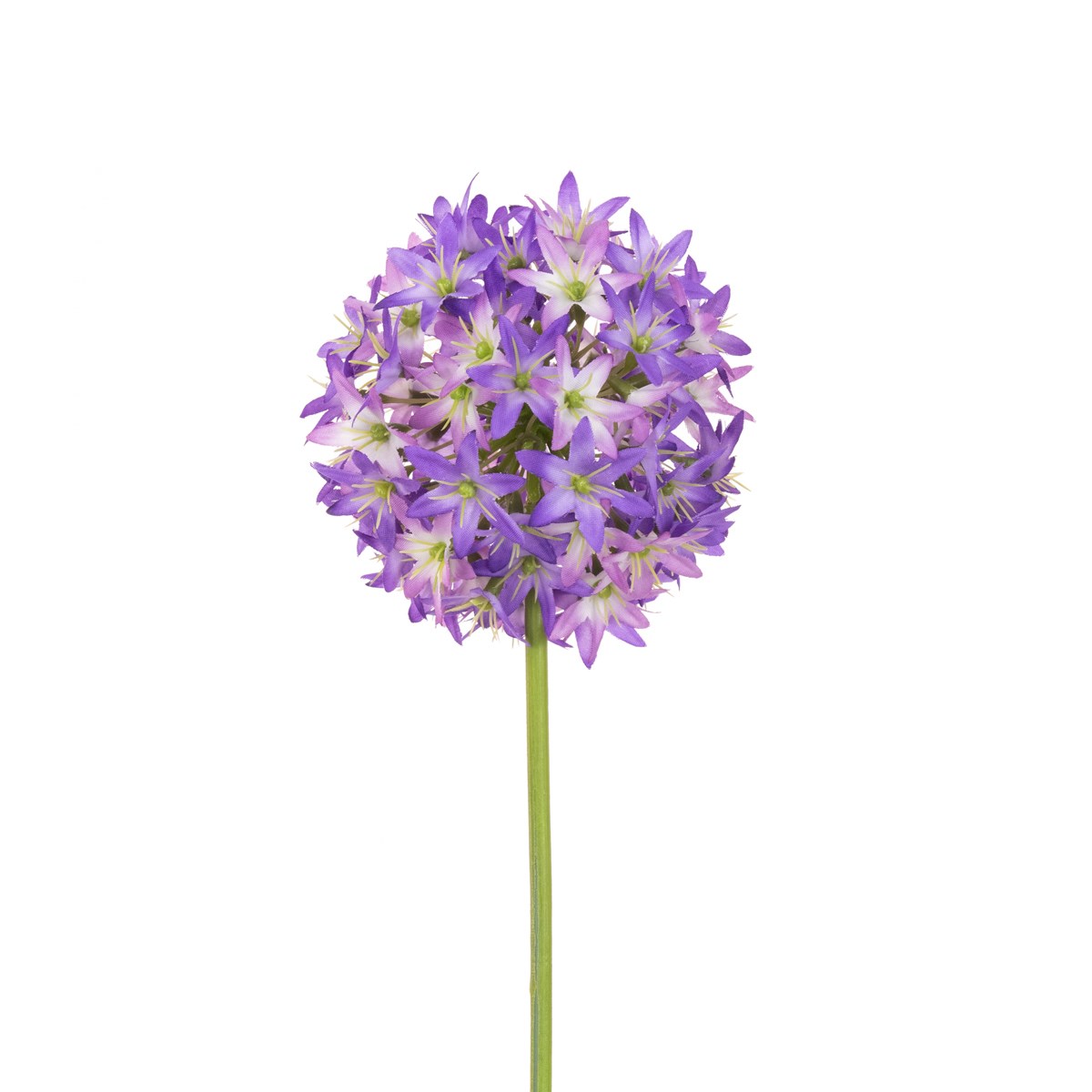 Purple Allium Spray