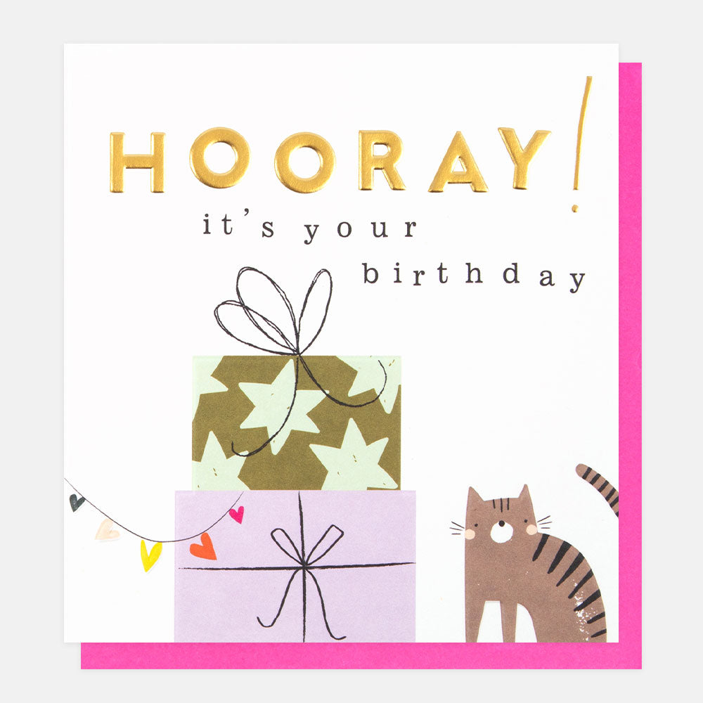 Hooray! It's Your Birthday Cat