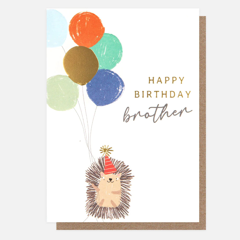 Happy Birthday Brother Hedgehogs