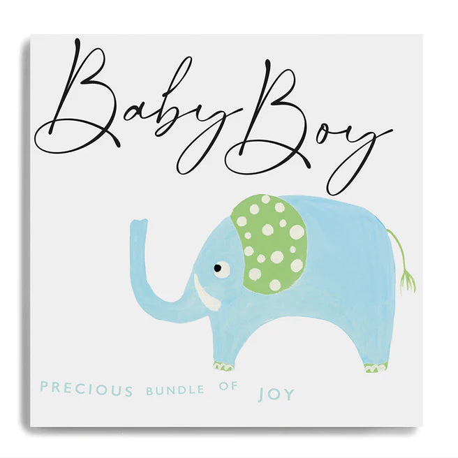 Baby Boy precious bundle of joy card