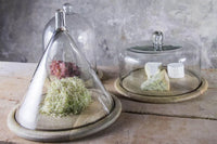 Recycled Glass Cake Dome