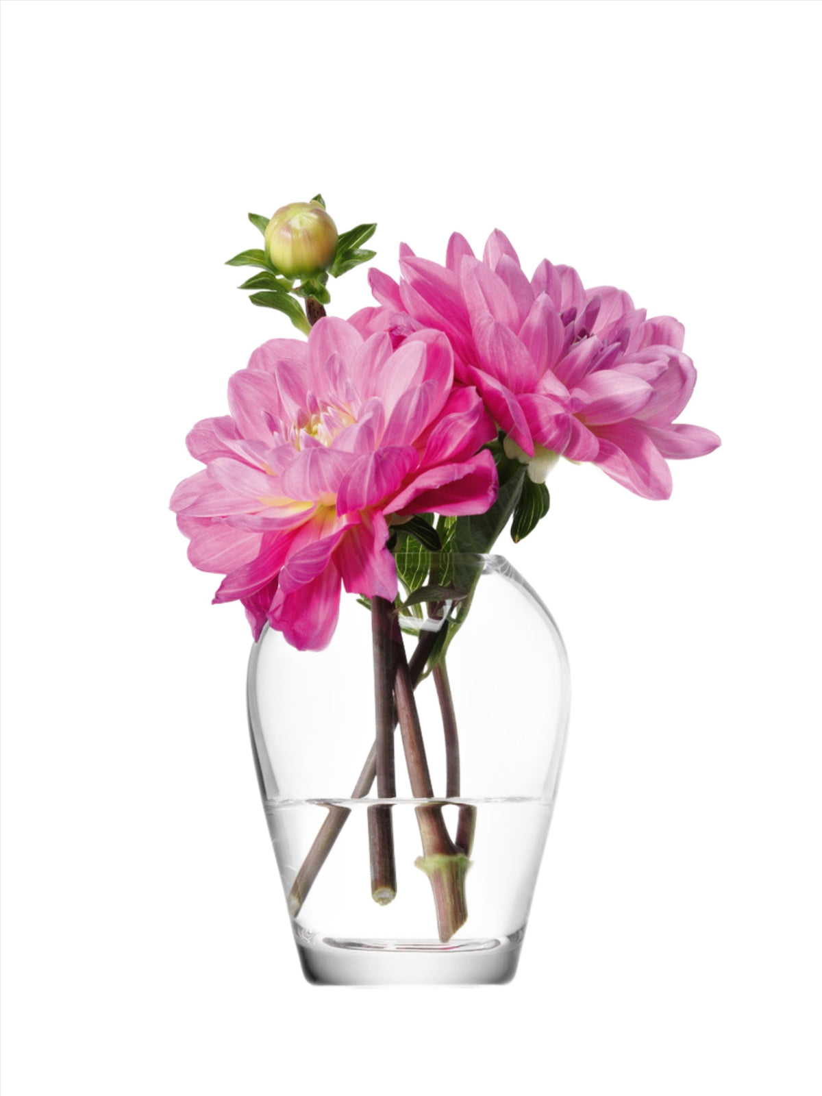 Flower Mini Bouquet Vase H9.5cm Clear