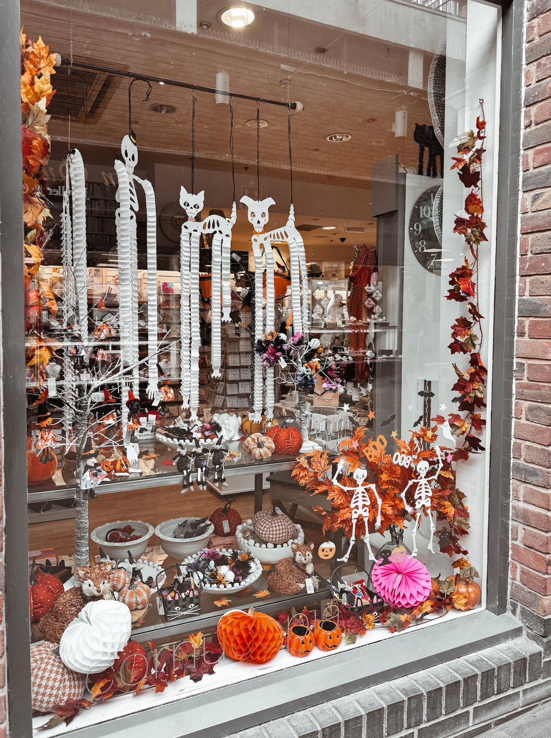 Step Into Spookiness: Our Halloween Window Display is Here!