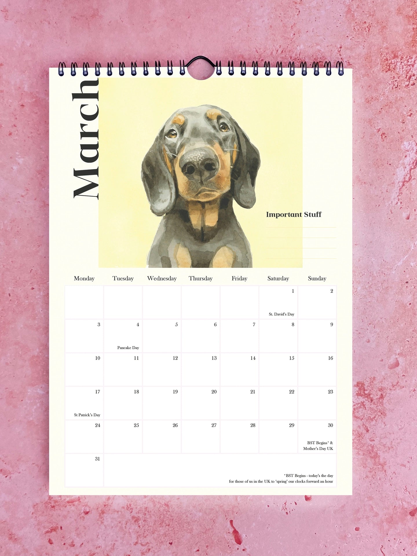 Pooches with Personality 2026 Watercolour Calendar