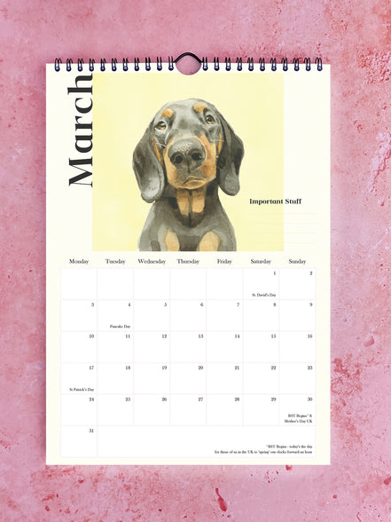 Pooches with Personality 2026 Watercolour Calendar