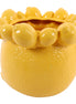 Yellow Lemon Flowerpot