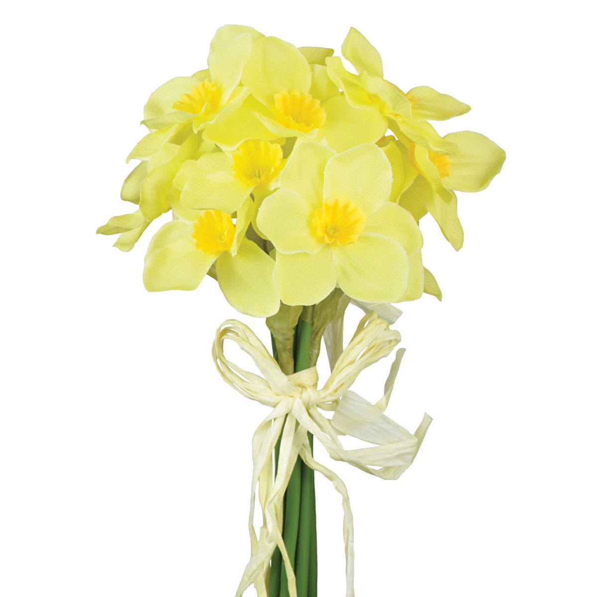 Yellow Daffodil Bundle