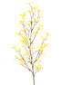 Forsythia Spray Yellow