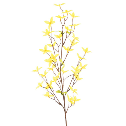 Forsythia Spray Yellow