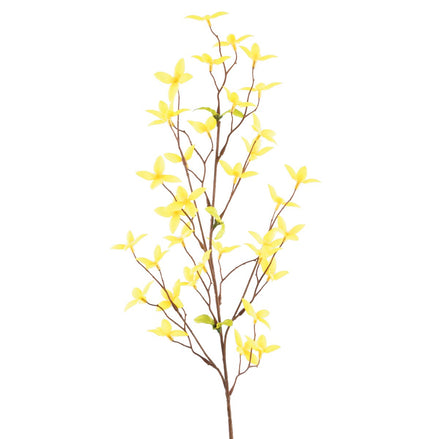 Forsythia Spray Yellow