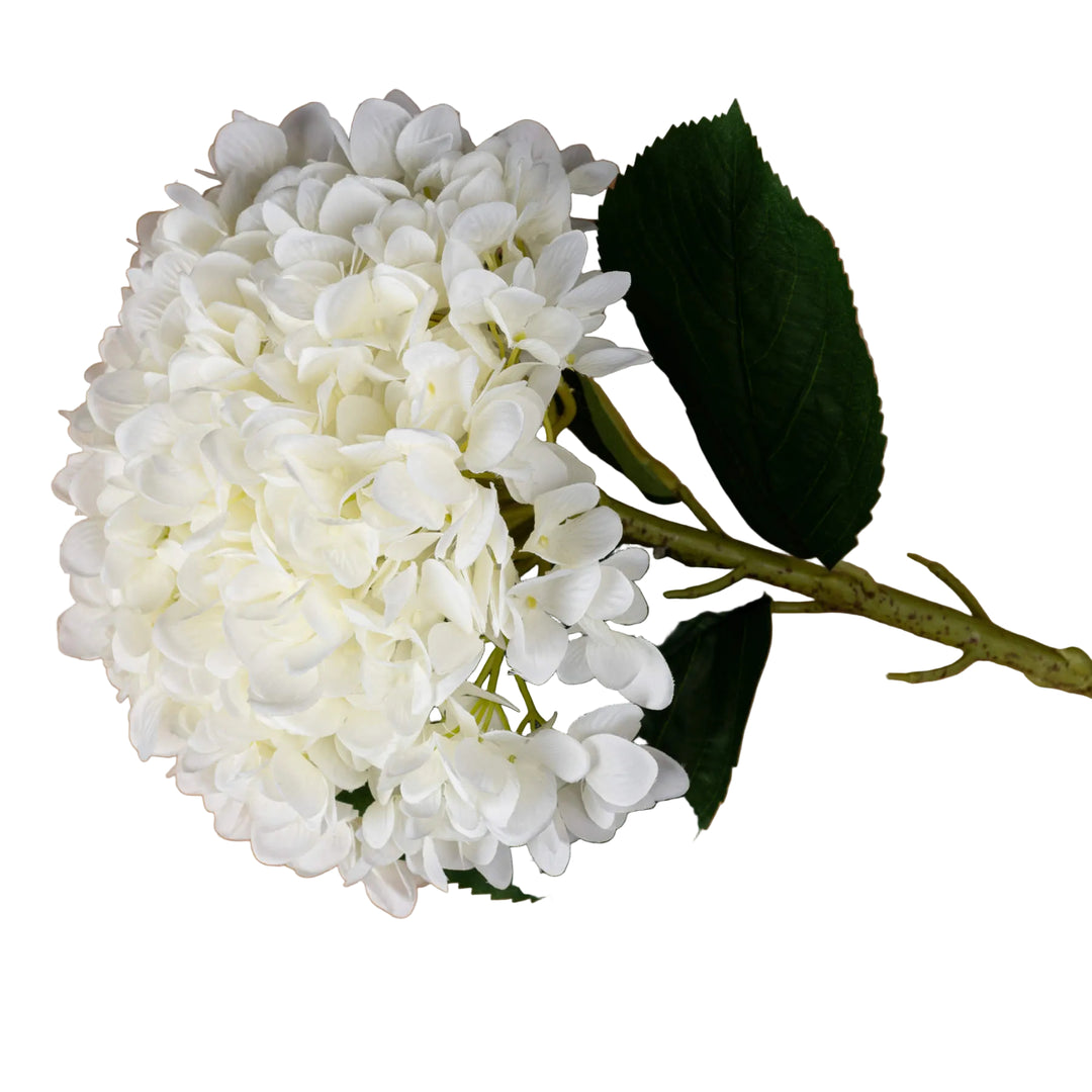 Oversized White Hydrangea