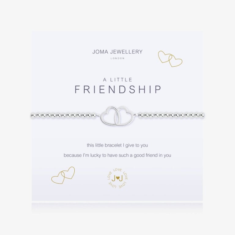 A Little Friendship Bracelet
