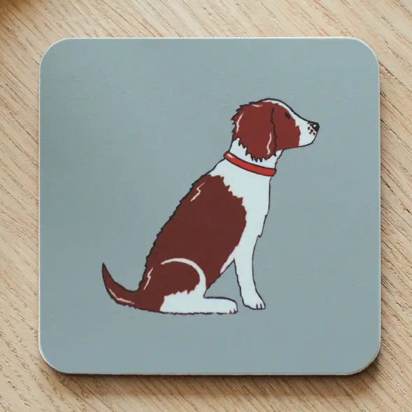 Liver Springer Spaniel Coaster