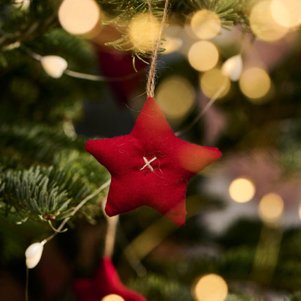 Assorted Star Decoration