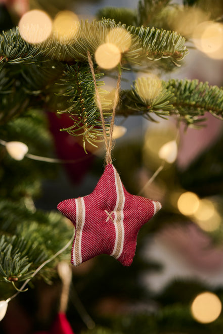 Assorted Star Decoration