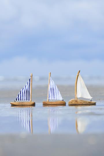 Single Ship With Sail