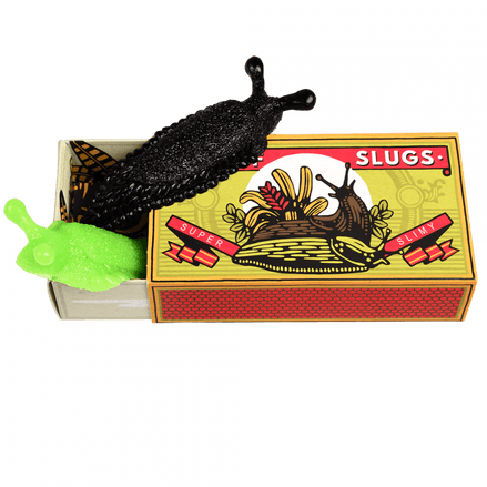 Box of two slimy slugs