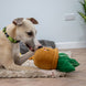 Play Time For Dogs - Cuddle Cactus