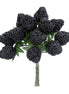 Blackberry Bunch Pick