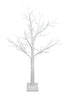 White Twig Tree