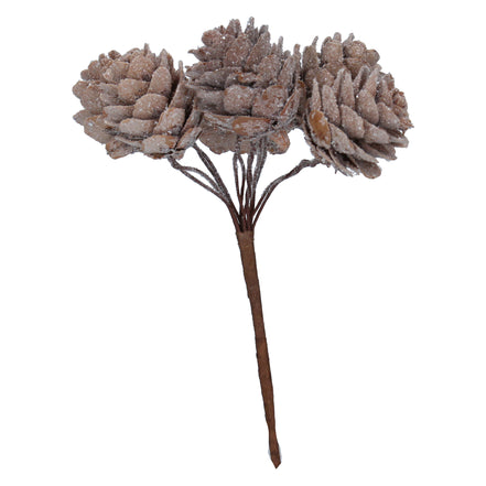 Frosted Natural Acrylic Cone Pick