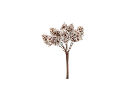 Natural Snowy Cone Pick Bunch