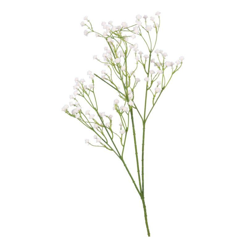 White Gypsophila Spray