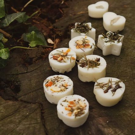 Freckle Face - Set of 10 Classic Wax Melts