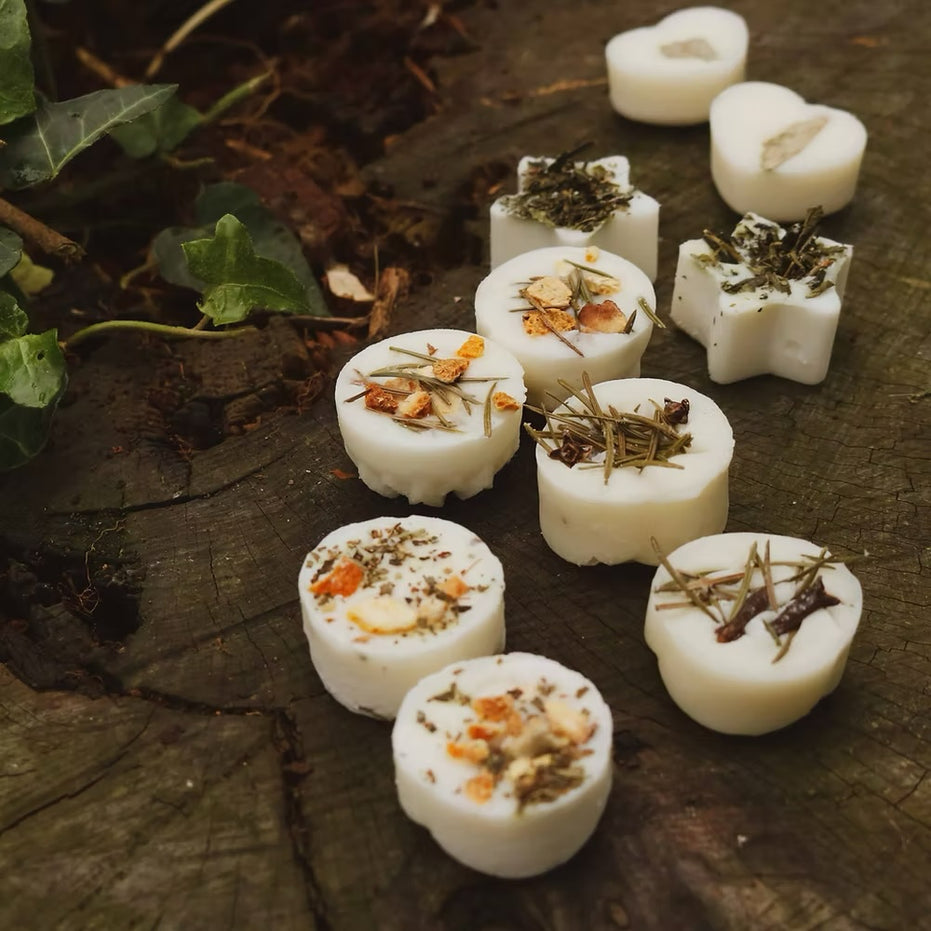 Freckle Face - Set of 10 Classic Wax Melts