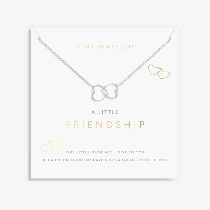 A Little Friendship Necklace