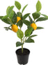 Citrus Lemon Faux Plant
