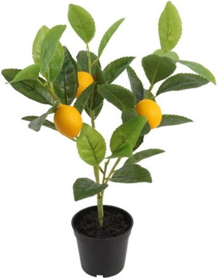 Citrus Lemon Faux Plant