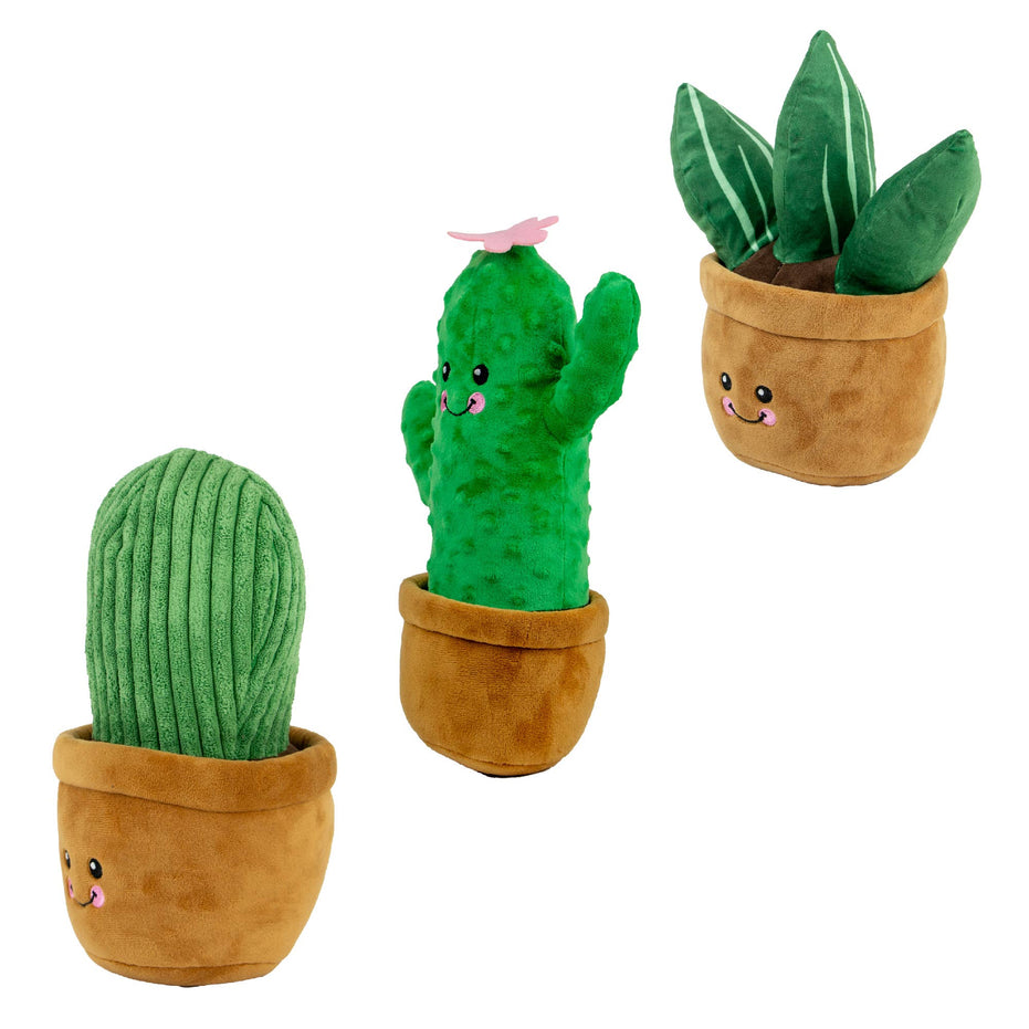 Play Time For Dogs - Cuddle Cactus