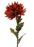 Dark Orange Chrysanthemum Stem