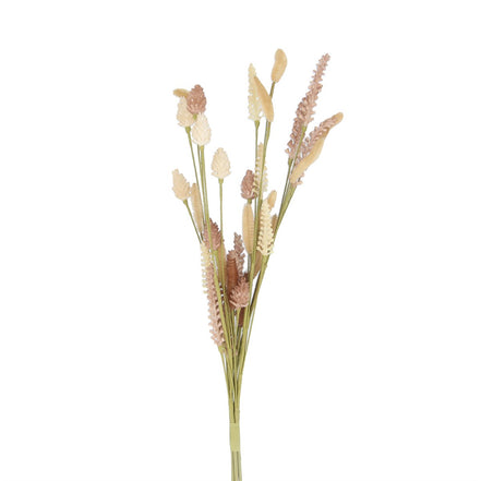 Natural Bunny Tail & Cone Mix Bunch