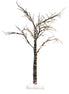 Large Brown Twig Tree