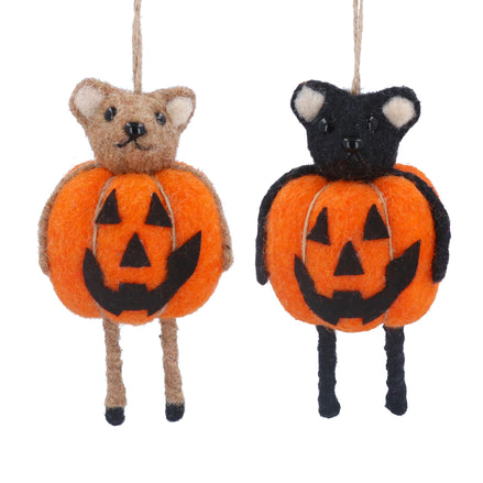 Mixed Wool Bear Pumpkin Decoration – 2 Assorted Designs