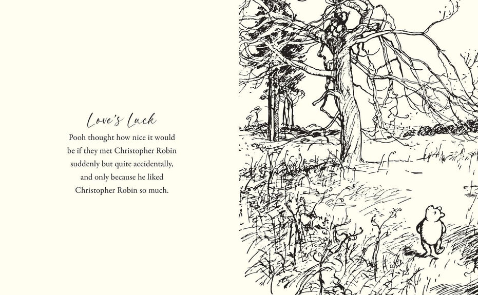 Winnie Pooh: Love from Pooh Book