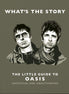 The Little Guide To Oasis Book