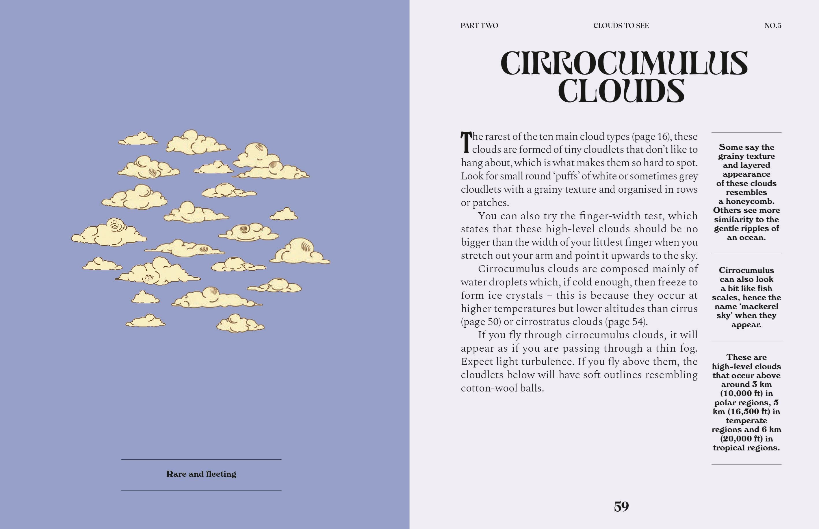 Clouds: A guide for the Curious Book