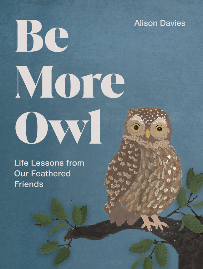 Be More Owl Life Lessons (HB)