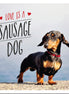 Love is a Sausage Dog Book