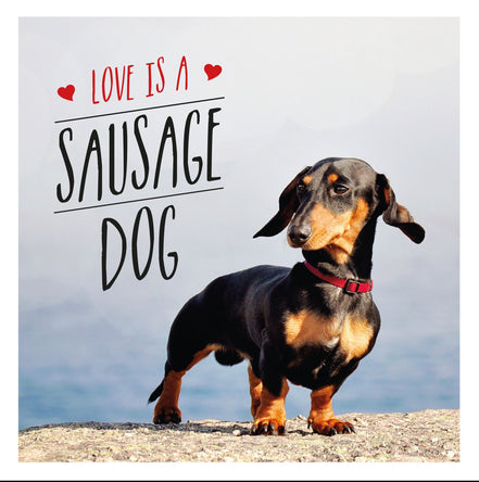 Love is a Sausage Dog Book