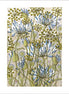 Walled Garden Art Card