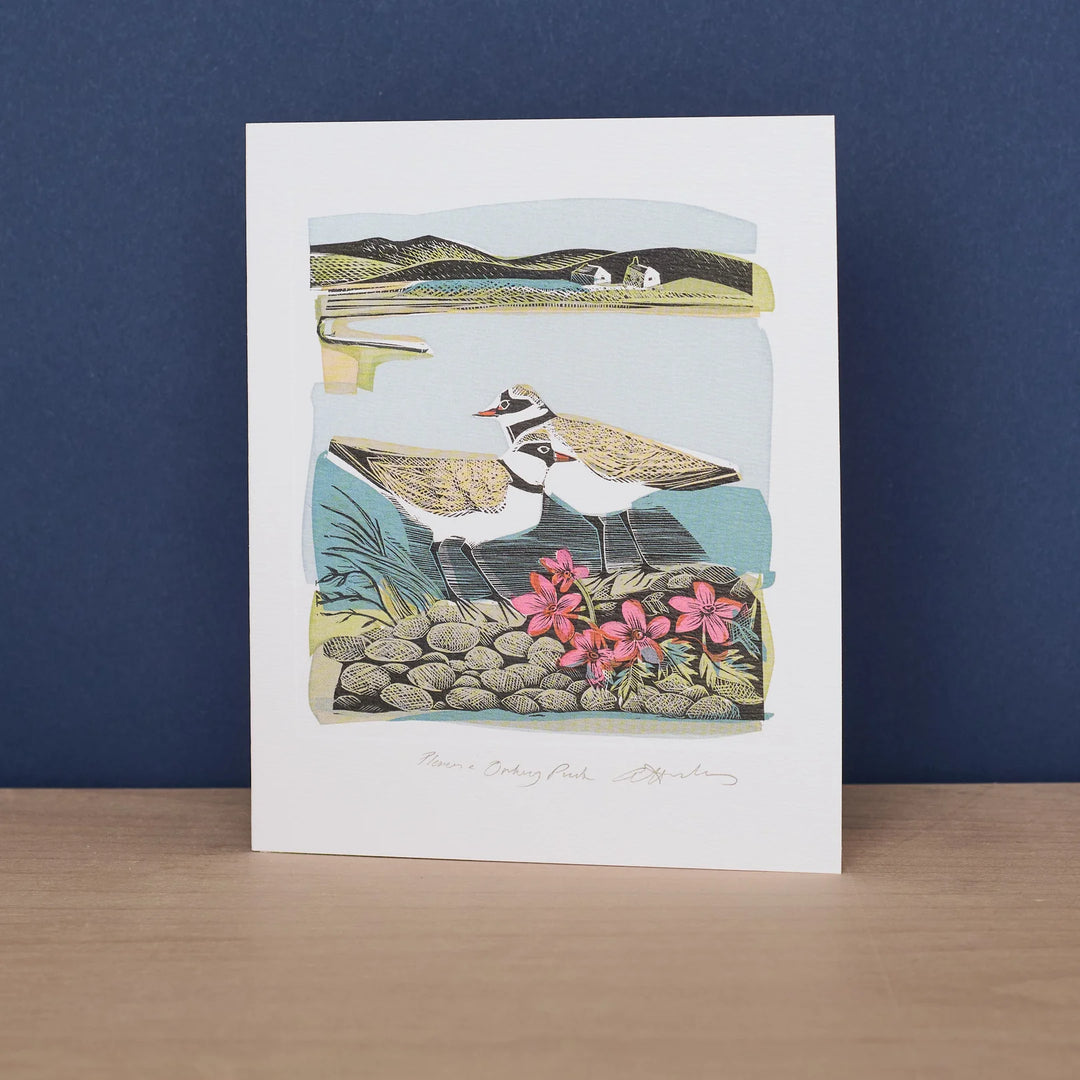 Plovers &amp; Orkney Pinks Art Card