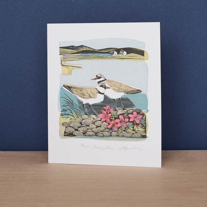 Plovers &amp; Orkney Pinks Art Card