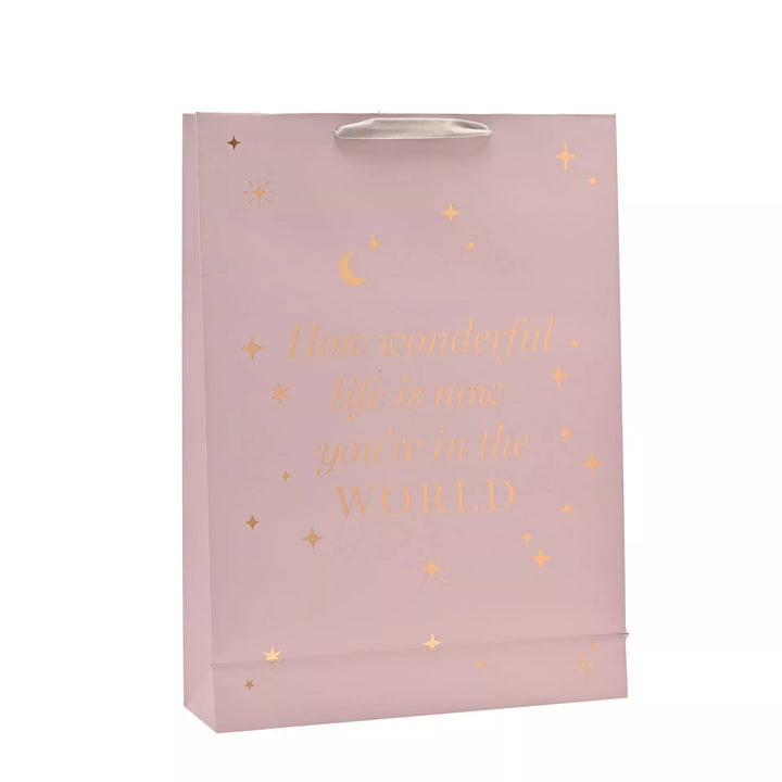 Bambino Baby Girl Gift Bag