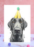 Black Labrador Pompom Birthday Card