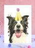 Border Collie Pompom Birthday Card
