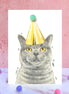 British Blue Shorthair Cat Pompom Birthday Card